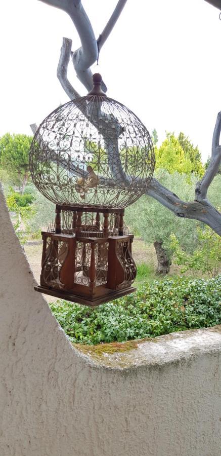 הוילה Karavómilos Country House By The Sea !!! מראה חיצוני תמונה